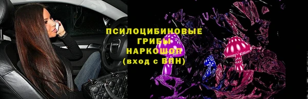 прущая мука Гусиноозёрск