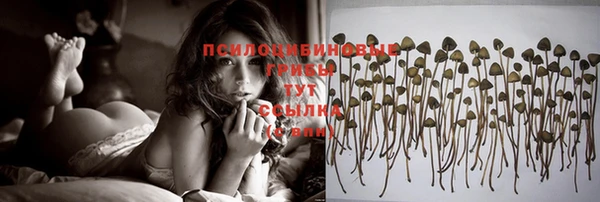 прущая мука Гусиноозёрск
