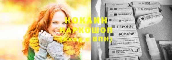СК Гусев
