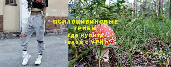 прущая мука Гусиноозёрск