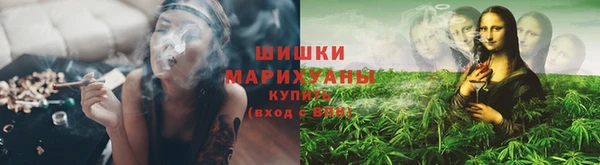 СК Гусев
