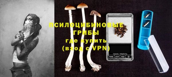 прущая мука Гусиноозёрск