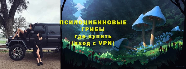 а пвп мука Гусь-Хрустальный