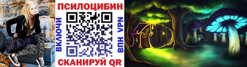 Псилоцибиновые грибы GOLDEN TEACHER  где можно купить наркотик  Курск 