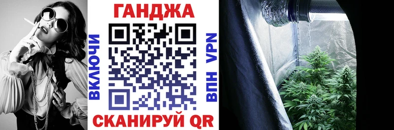 МАРИХУАНА сатива Курск